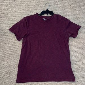 Banana Republic Fitted Crew T Shirt